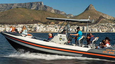 Winelands + Marine Wildlife Cruise
